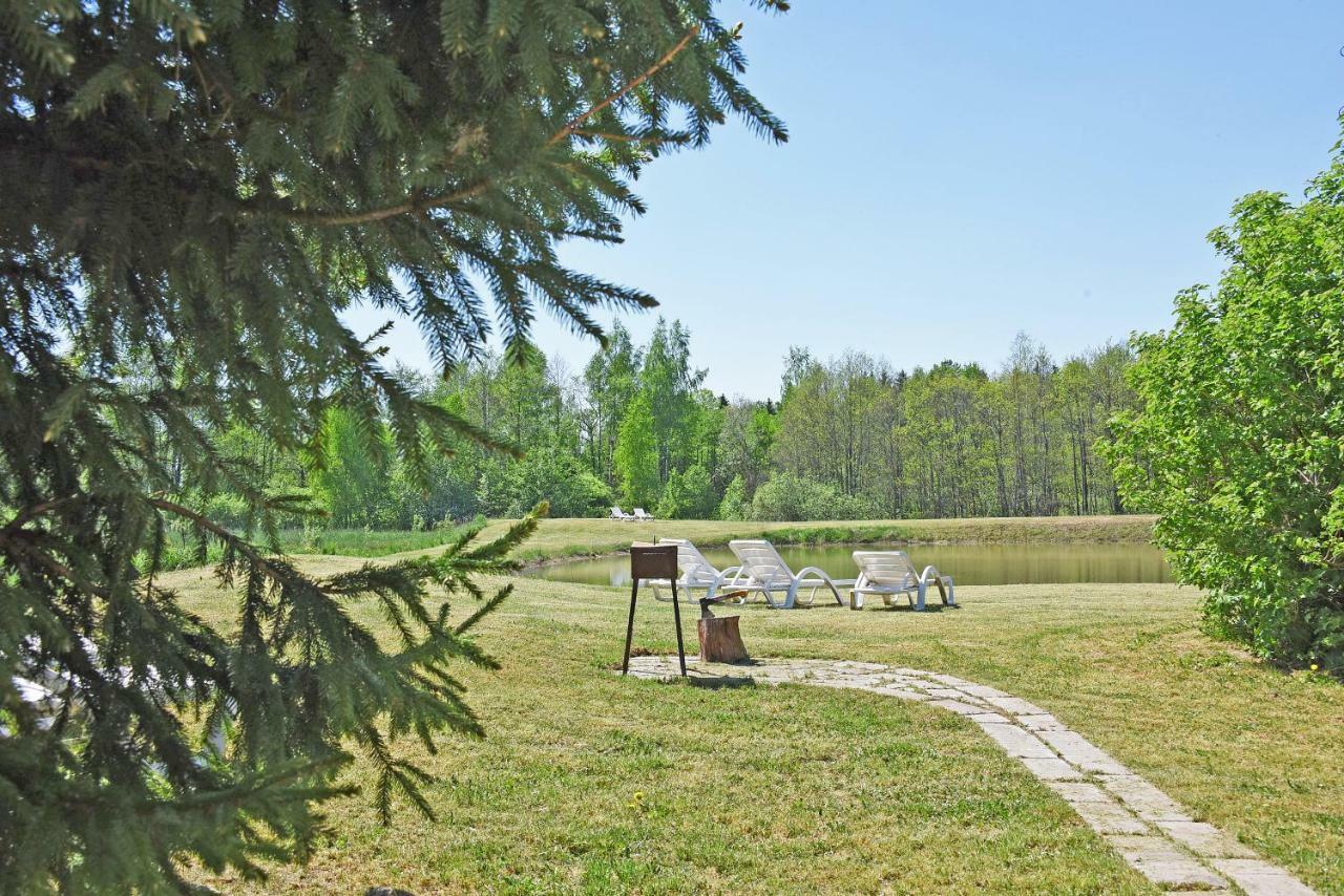 Kliukai Літній будинок Дубінгяй