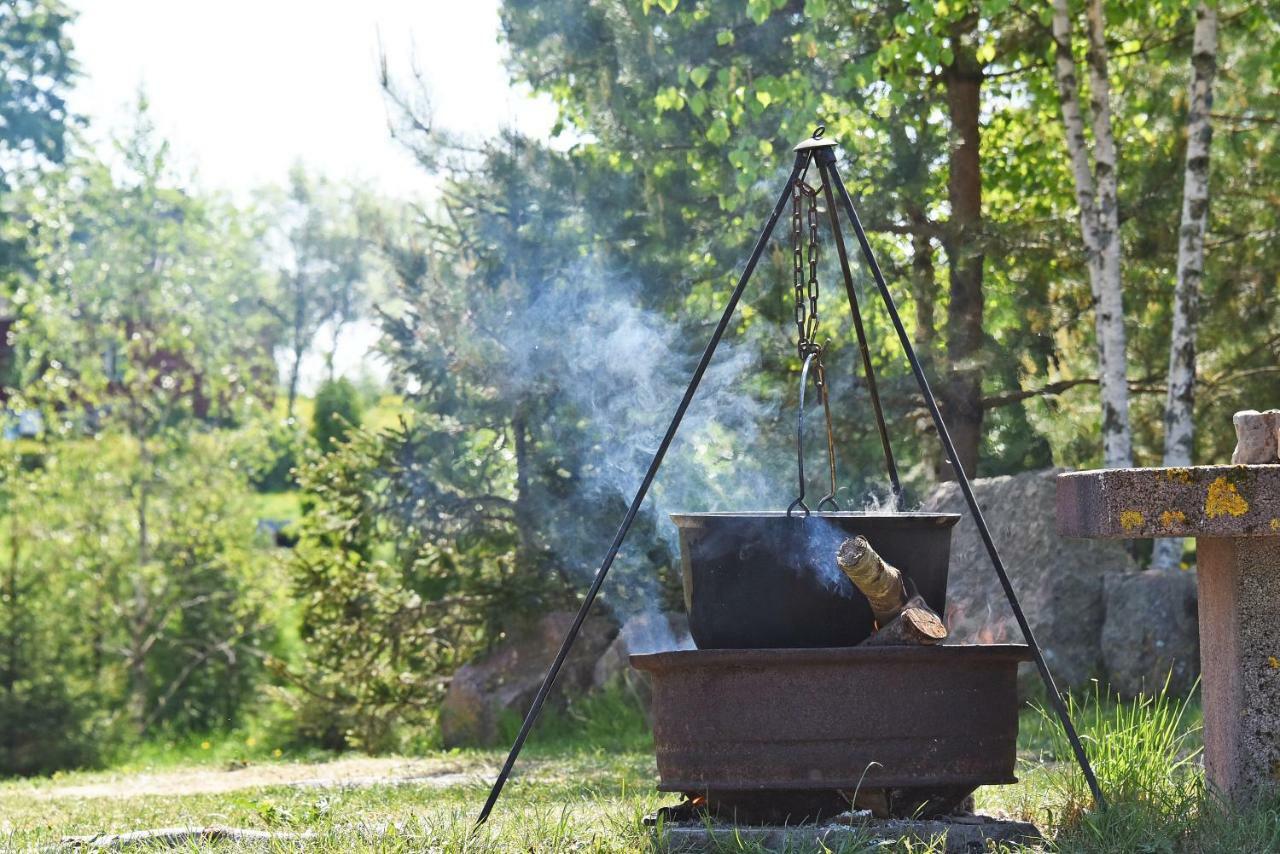 Kliukai Літній будинок Дубінгяй
